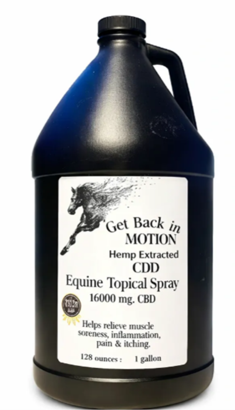 A 1 gallon black plastic jug of Get Back in Motion Equine Topical Spray, 16000 mg CBD, on a white background.
